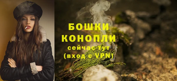 гидра Арсеньев