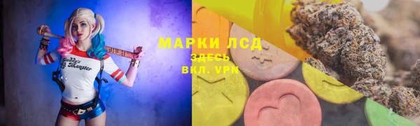 PSILOCYBIN Армянск