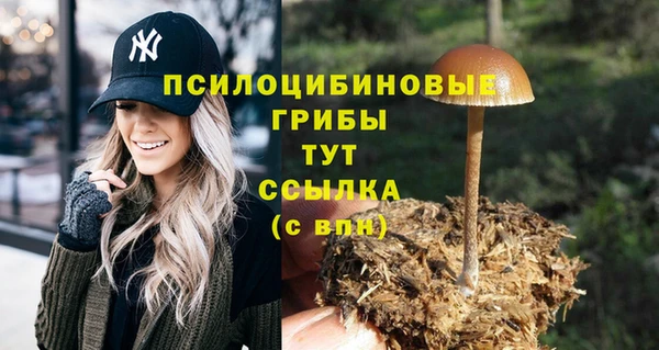 гидра Арсеньев