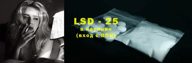 PSILOCYBIN Армянск