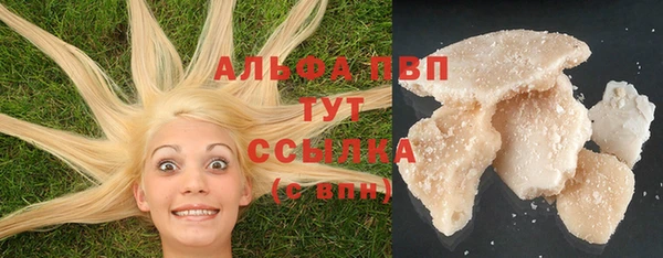 PSILOCYBIN Армянск