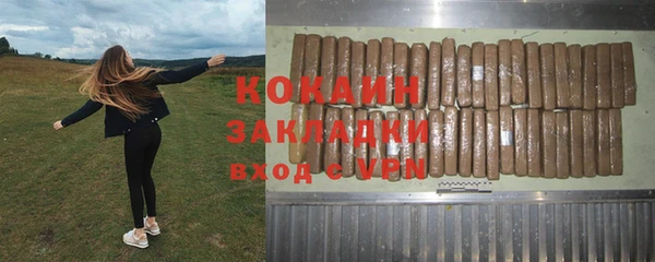 гидра Арсеньев