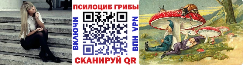 мориарти клад  где купить   Михайловск  Псилоцибиновые грибы Magic Shrooms 